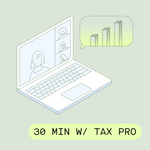30 Minutes with a Tax Pro