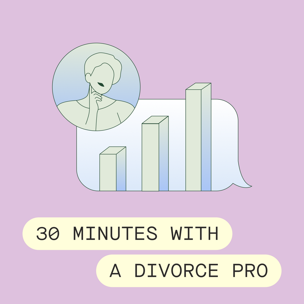 30 Minutes with a Divorce Pro