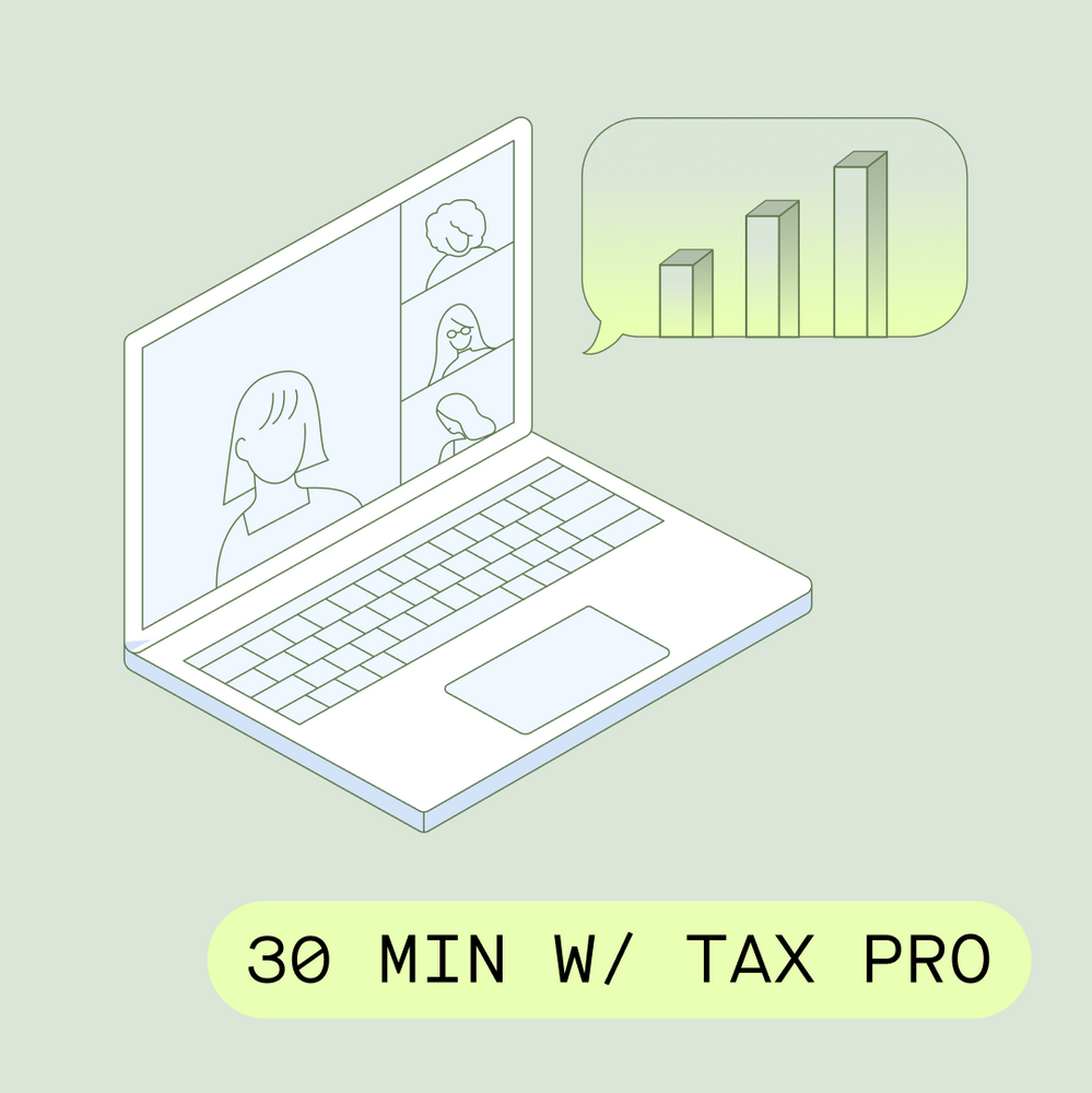 30 Minutes with a Tax Pro